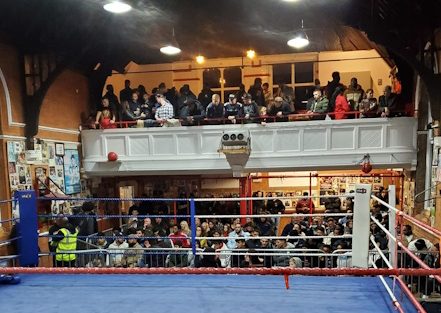 ALL STAR FIGHTING GYM 1 all star fighting gym 1