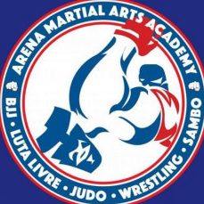 arena martial arts academy
