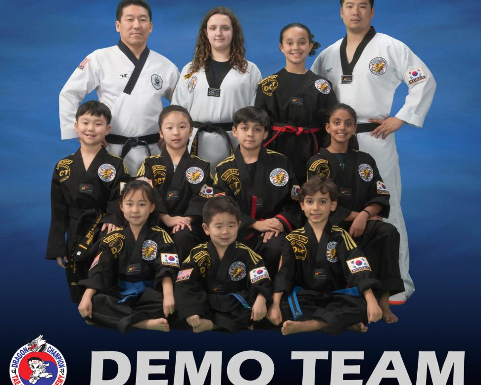 D-DRAGON TAEKWON-DO ACADEMY 1 d dragon taekwon do academy