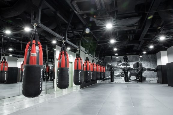 Evolve MMA (KINEX) 1 evolve mma