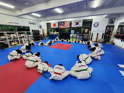 The Stealth Martial Arts Taekwondo Academy The Stealth Martial Arts Taekwondo Academy