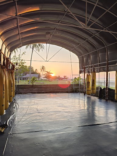 BCG MMA Academy BCG MMA Academy