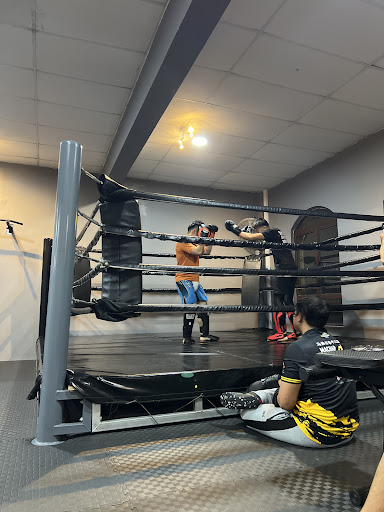 Sharks Muay Thai & MMA | Malacca Branch