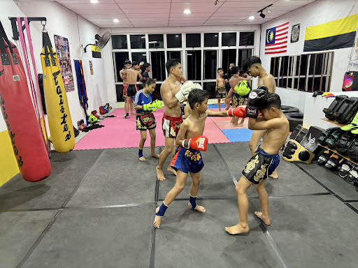 Seladang Hitam Muaythai