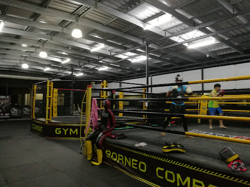 BCG MMA Academy