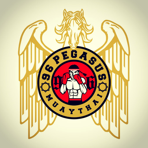 96 Pegasus Muaythai & Combat Fitness - Beaufort