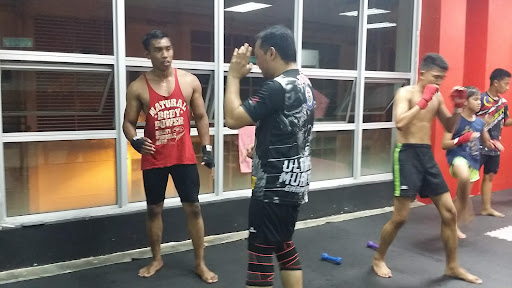Sting Muay Thai Studio