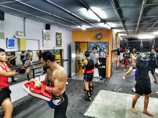 Kambiz Warriors Gym