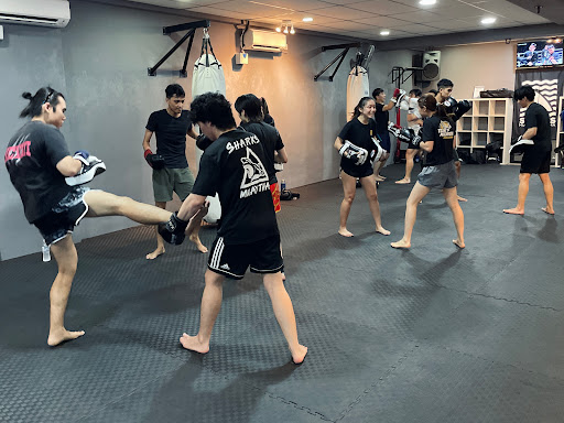 Sharks Muay Thai & MMA | Damansara Branch Sharks Muay Thai & MMA | Damansara Branch