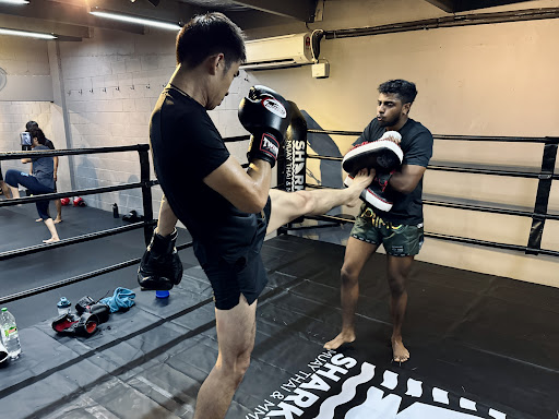 Sharks Muay Thai & MMA | Sunway Branch Sharks Muay Thai & MMA | Sunway Branch