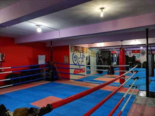 Kelab Muay Thai Gomo Kelab Muay Thai Gomo