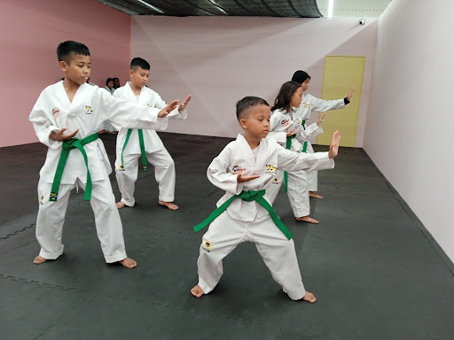 Shield Martial Arts & Fitness Academy Johor Shield Martial Arts & Fitness Academy Johor