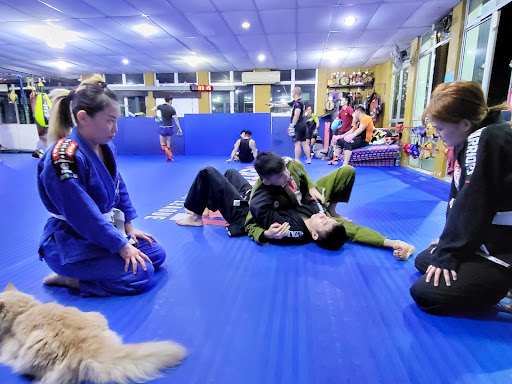 Ultimate Mixed Martial Arts Academy Ultimate Mixed Martial Arts Academy