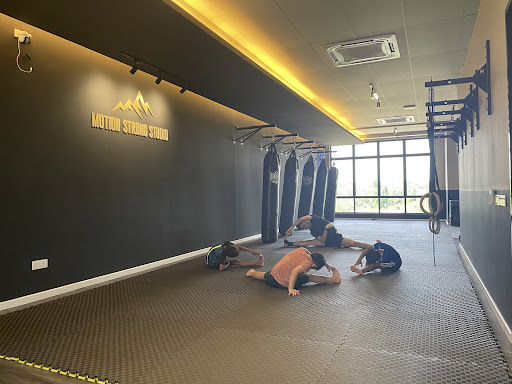 Motion Strong Studio