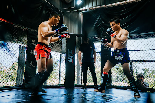 Dominate MMA Dominate MMA