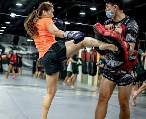 Evolve MMA (KINEX) Evolve MMA (KINEX)