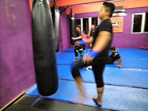 Evolution combat gym