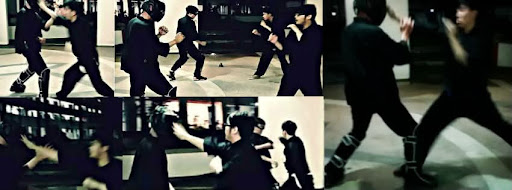 Nico's Jeet Kune Do Training Group Singapore