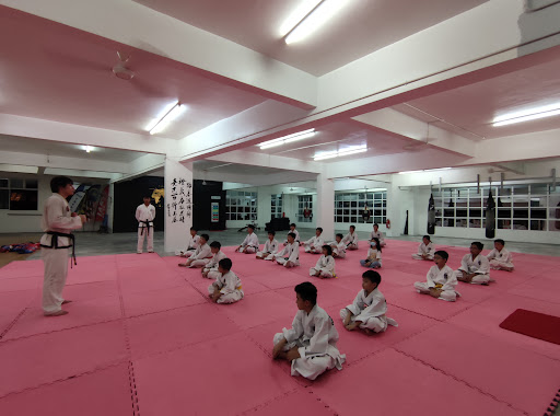 Inspiration Academy Martial Art Inspiration Academy Martial Art