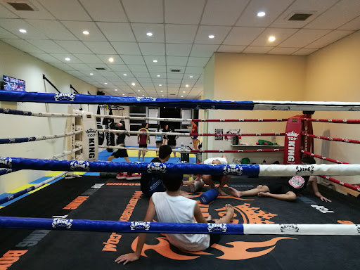 Dynamite Muay Thai JB