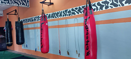 WhiteTiger Kickkpro Muaythai Gym WhiteTiger Kickkpro Muaythai Gym