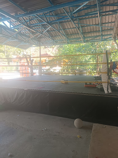 LION KING MUAY THAI CLUB LION KING MUAY THAI CLUB