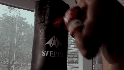 STEPPA Active