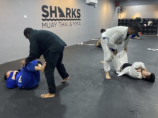 Sharks Muay Thai & MMA | Malacca Branch Sharks Muay Thai & MMA | Malacca Branch