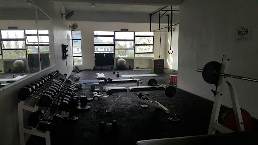 Panda Freestyle Gym Panda Freestyle Gym