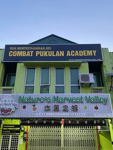 Combat Pukulan Academy Combat Pukulan Academy