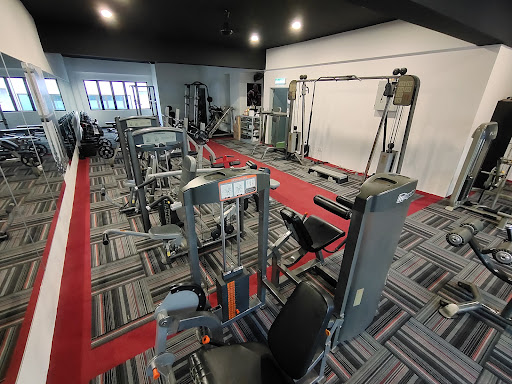 MAXIMUS GYM