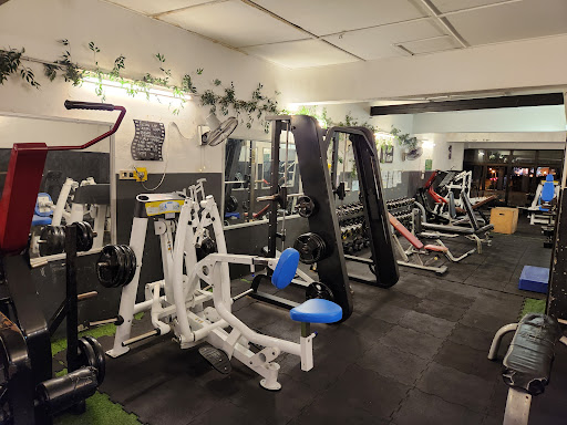 gofit__gymuseum bentong gofit__gymuseum bentong
