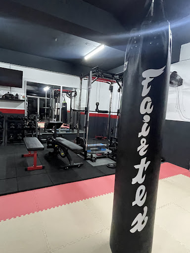 Mike Martial Arts Gym