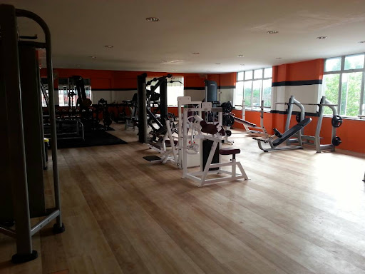 T GYM T GYM