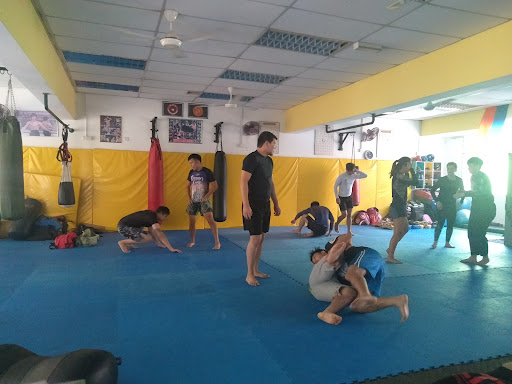 Ultimate M-One Ultimate M-One