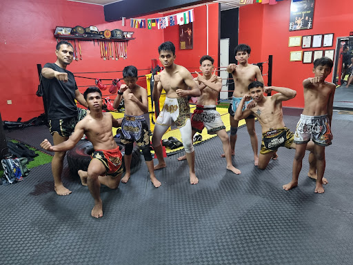 Tee Thai Boxing