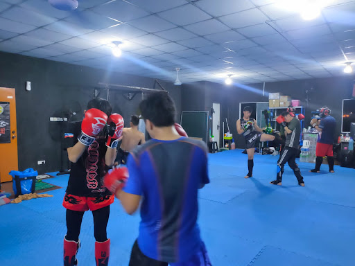 M1 Monster Muay Thai & Fitness Academy