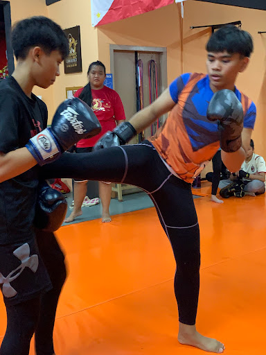 Rocky MMA Fight Team & Fitness