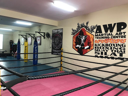 AWP Martial Art Academy