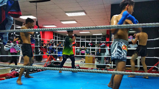 Sting Muay Thai Studio Sting Muay Thai Studio