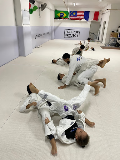 THE ZONE MARTIAL ARTS THE ZONE MARTIAL ARTS