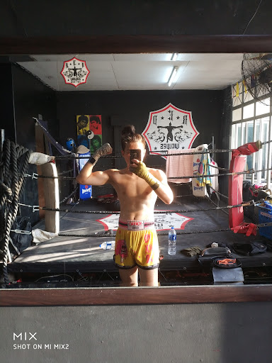 Red Wolves Muay Thai ( HQ ) Red Wolves Muay Thai ( HQ )
