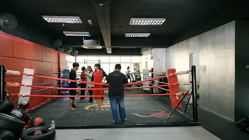 Muayfit Muayfit
