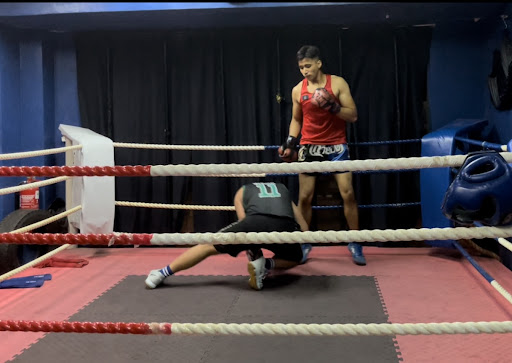 GYM MUAY THAI BLUE TIGER GYM MUAY THAI BLUE TIGER