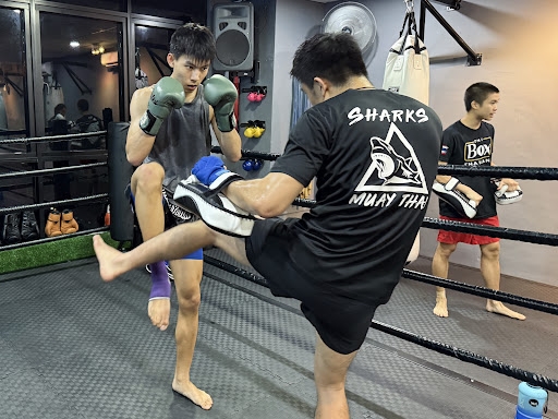 Sharks Muay Thai & MMA | Damansara Branch