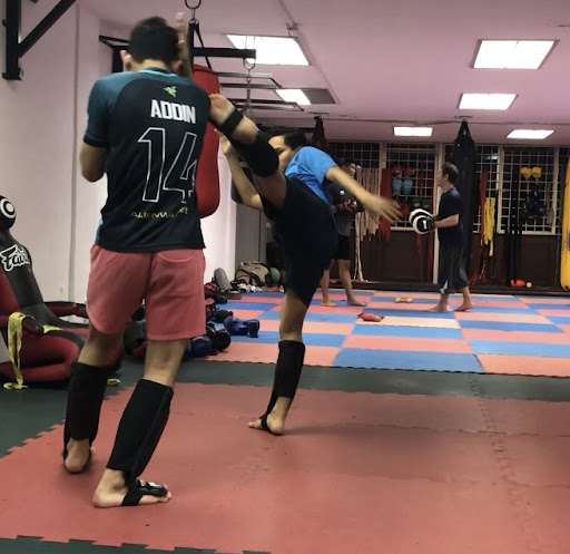 ULTIMATE MALAYSIAN FIGHTER MMA GYM ULTIMATE MALAYSIAN FIGHTER MMA GYM