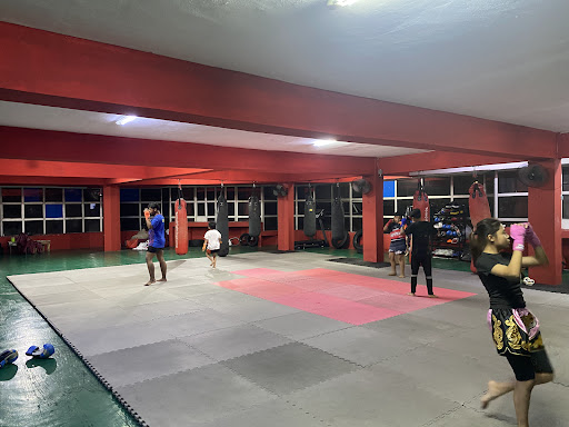 Brotherkick Muay Thai Gym Brotherkick Muay Thai Gym