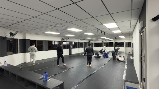 Central Mixed Martial Arts (Central MMA)