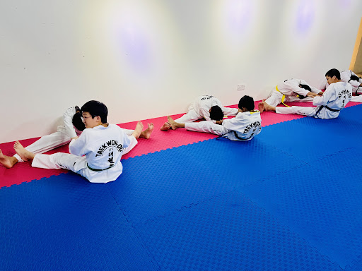 Legendary Martial Arts Academy - Taekwondo and Kickboxing Oasis Ara Damansara Branch Legendary Martial Arts Academy - Taekwondo and Kickboxing Oasis Ara Damansara Branch