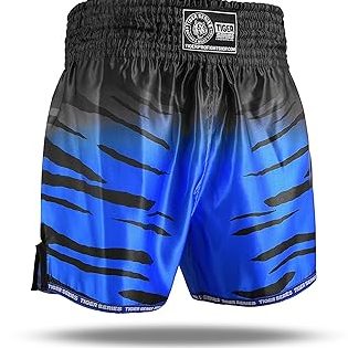 GYM MUAY THAI BLUE TIGER 1 gym muay thai blue tiger